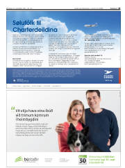 Síða 43