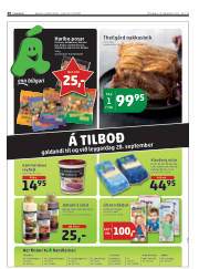 Síða 48