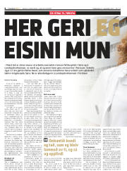 Síða 8