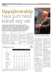 Síða 14