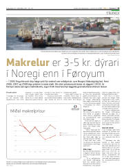 Síða 15