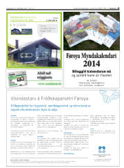 Síða 29