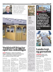 Síða 29
