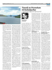 Síða 31