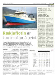 Síða 27