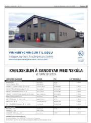 Síða 45