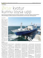 Síða 8