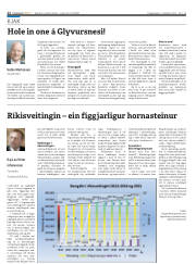 Síða 12