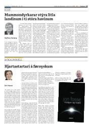 Síða 13