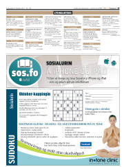 Síða 19