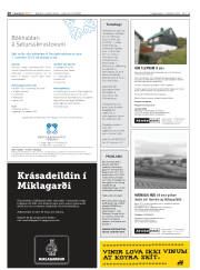 Síða 20