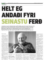 Síða 6