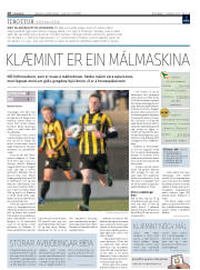 Síða 20
