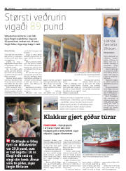 Síða 24