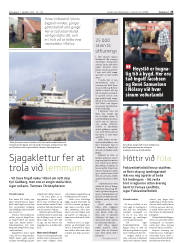 Síða 25