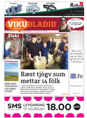 Síða 33