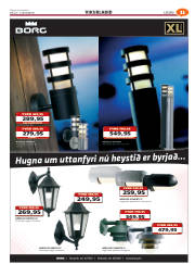Síða 43
