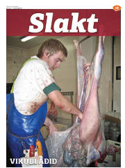 Síða 45