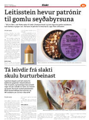Síða 53