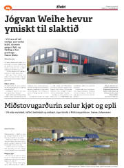Síða 56