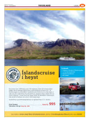 Síða 61