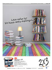 Síða 11