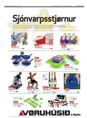 Síða 21