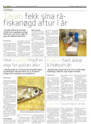 Síða 8
