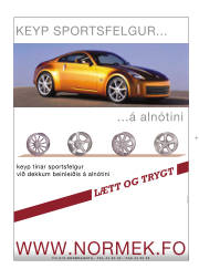 Síða 25