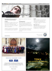 Síða 20