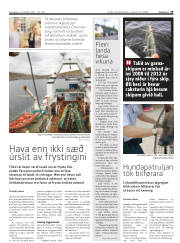 Síða 33