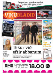 Síða 37