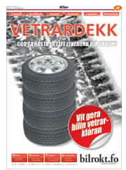 Síða 53