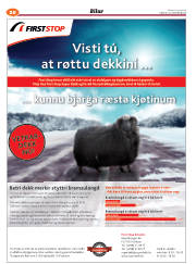 Síða 56
