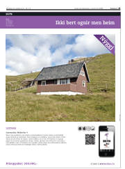 Síða 25