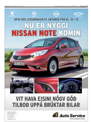Síða 11