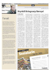 Síða 14