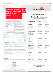 Síða 17