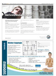 Síða 20