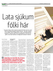 Síða 8