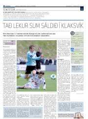 Síða 20