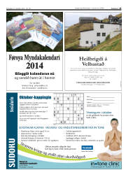 Síða 25