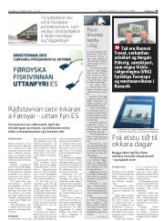 Síða 29