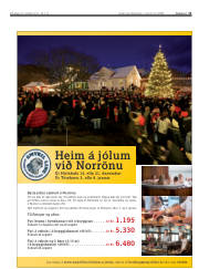 Síða 11