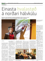 Síða 14
