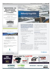 Síða 25