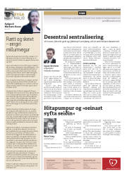 Síða 12