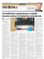 Síða 13