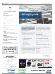 Síða 14