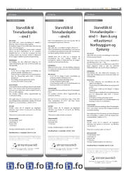Síða 17